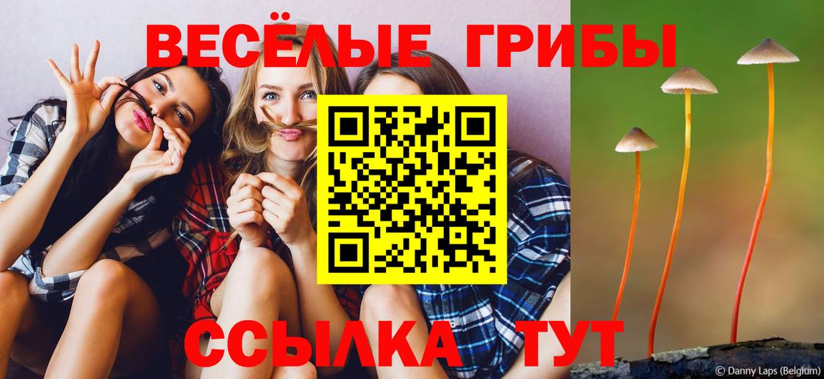 Галлюциногенные грибы прущие грибы  Вход с VPN  Алексин 
