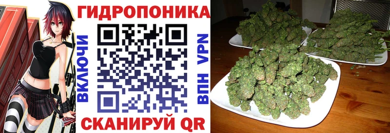 блэк спрут рабочий сайт Алексин Марихуана гибрид